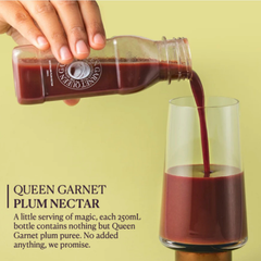 [Queen Garnet] Plum Nectar 250ml - 30EA/CTN