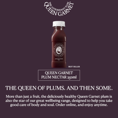 [Queen Garnet] Plum Nectar 250ml - 30EA/CTN