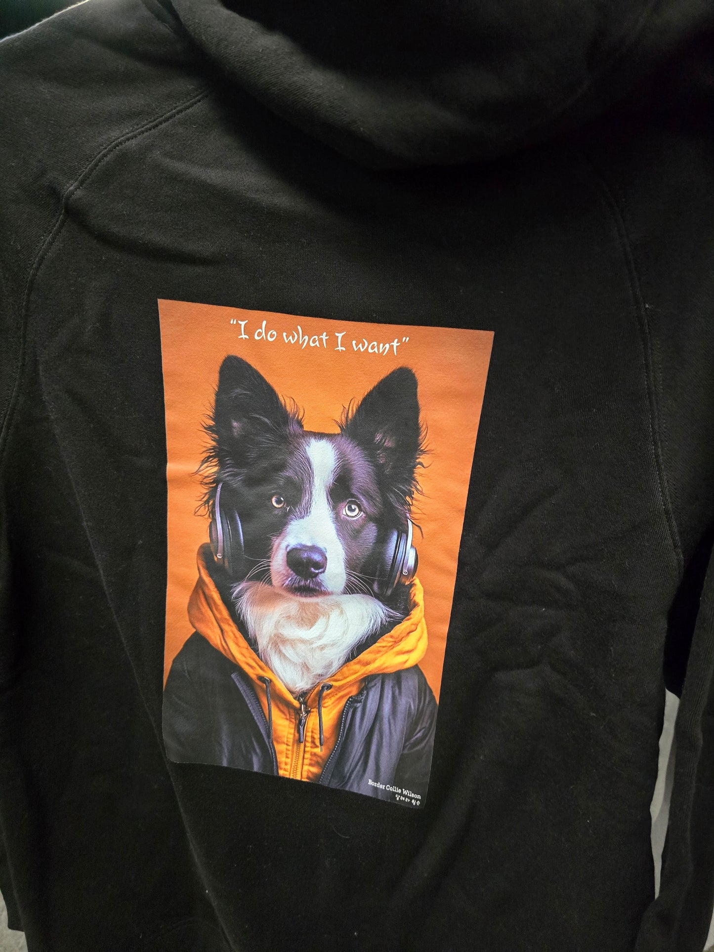 [Aweome Koala Friend] Australia Illuste designed Long Sleeve hood T shirts (Black, Large)