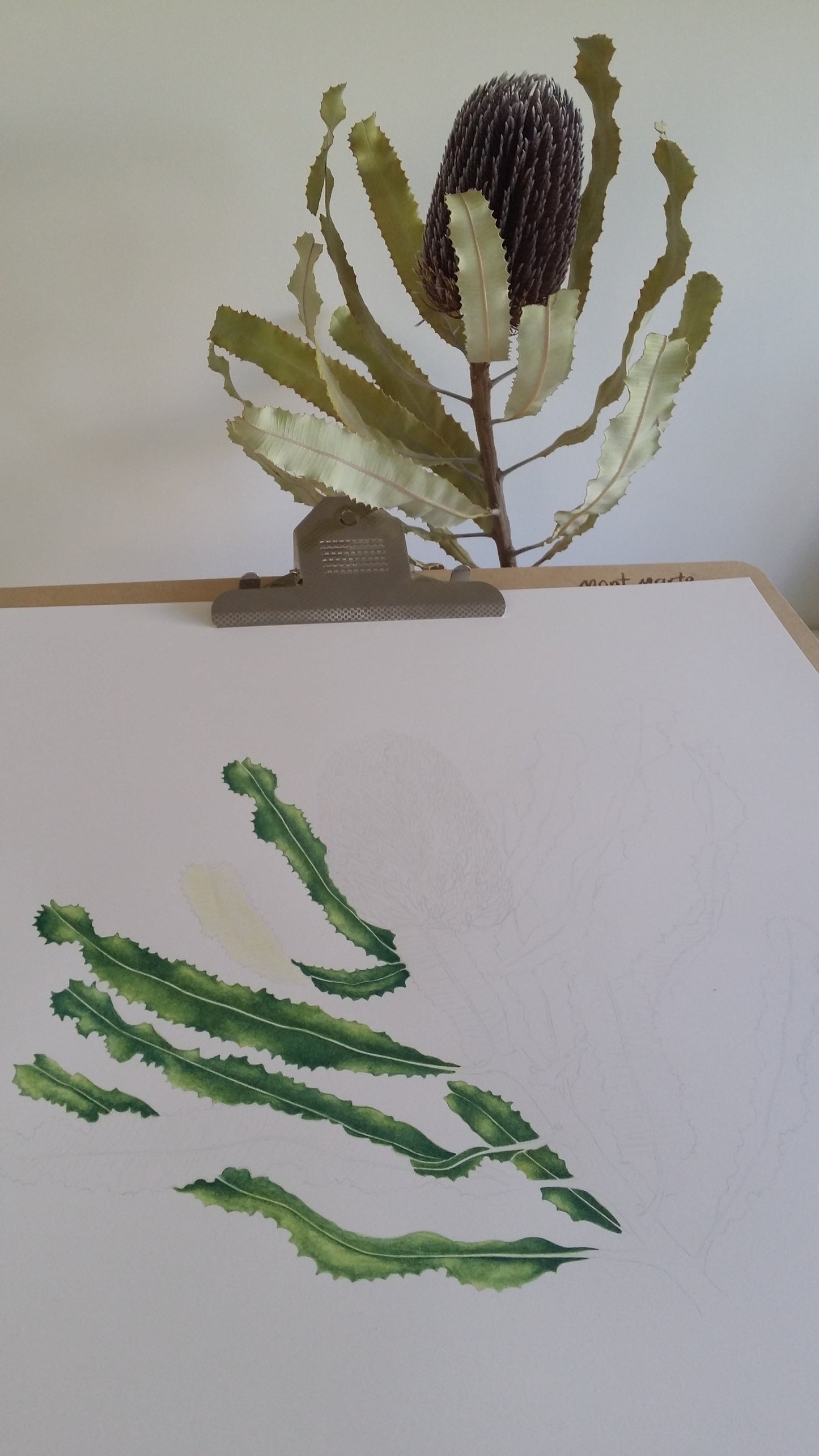 [Minjung Oh] "Banksia Menziesii"  Original Botanic Artworks & Art Frame