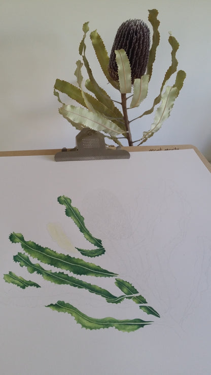 [Minjung Oh] Bookmark – Banksia Menziesii