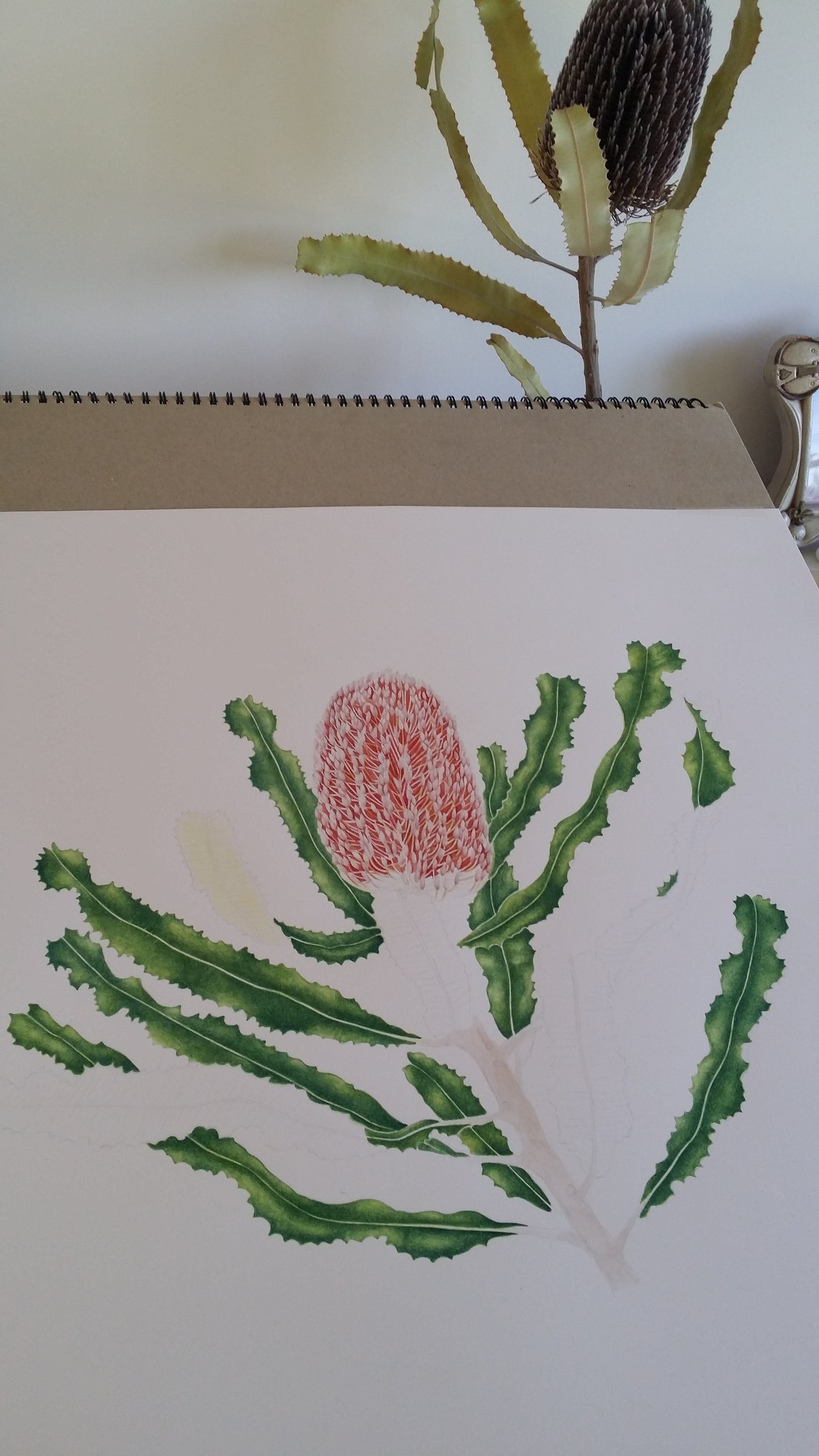 [Minjung Oh] "Banksia Menziesii"  Original Botanic Artworks & Art Frame