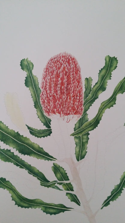 [Minjung Oh] Bookmark – Banksia Menziesii