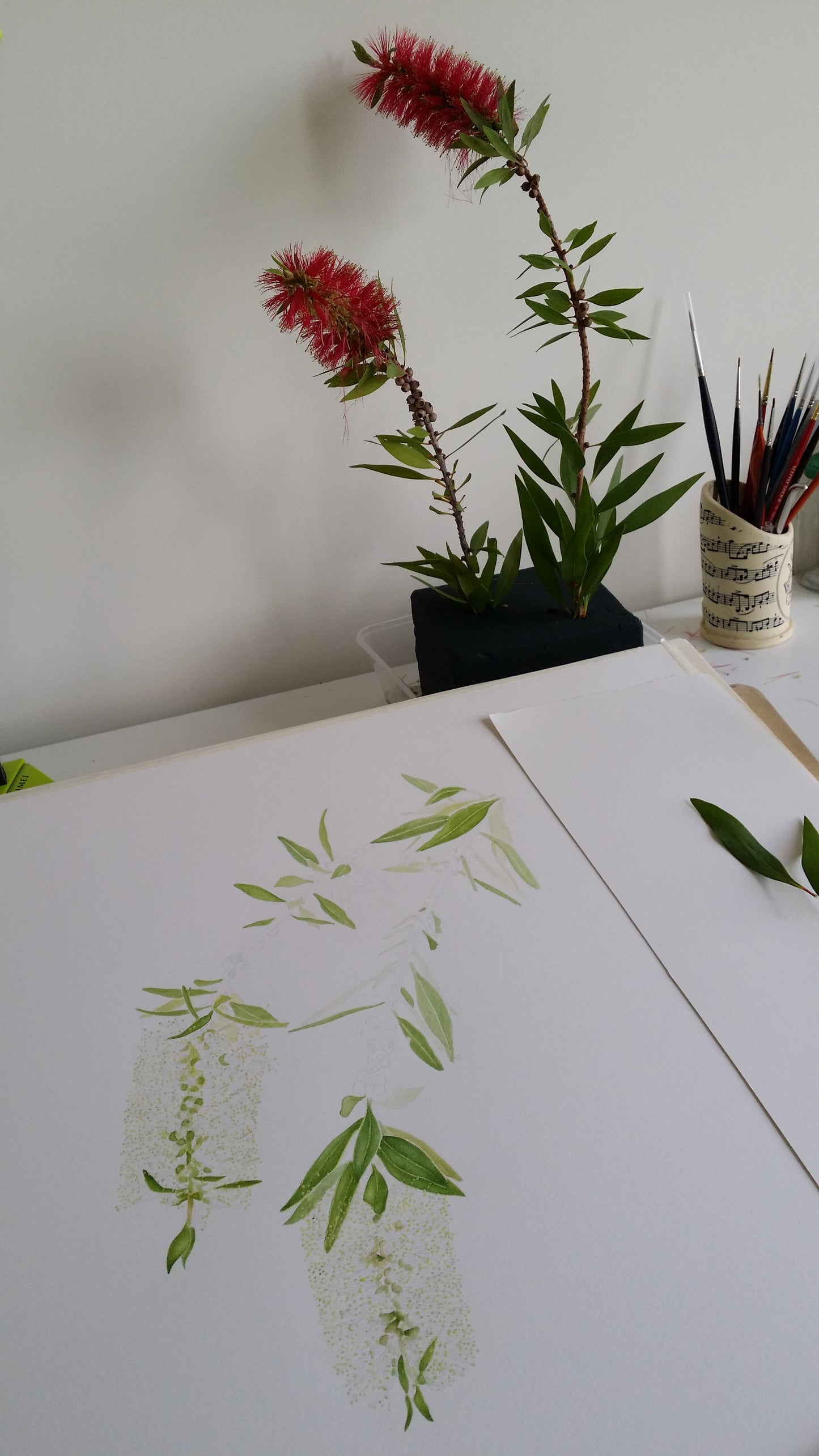 [Minjung Oh]  Bookmark – Callistermon