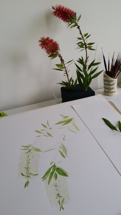 [Minjung Oh]  Bookmark – Callistermon