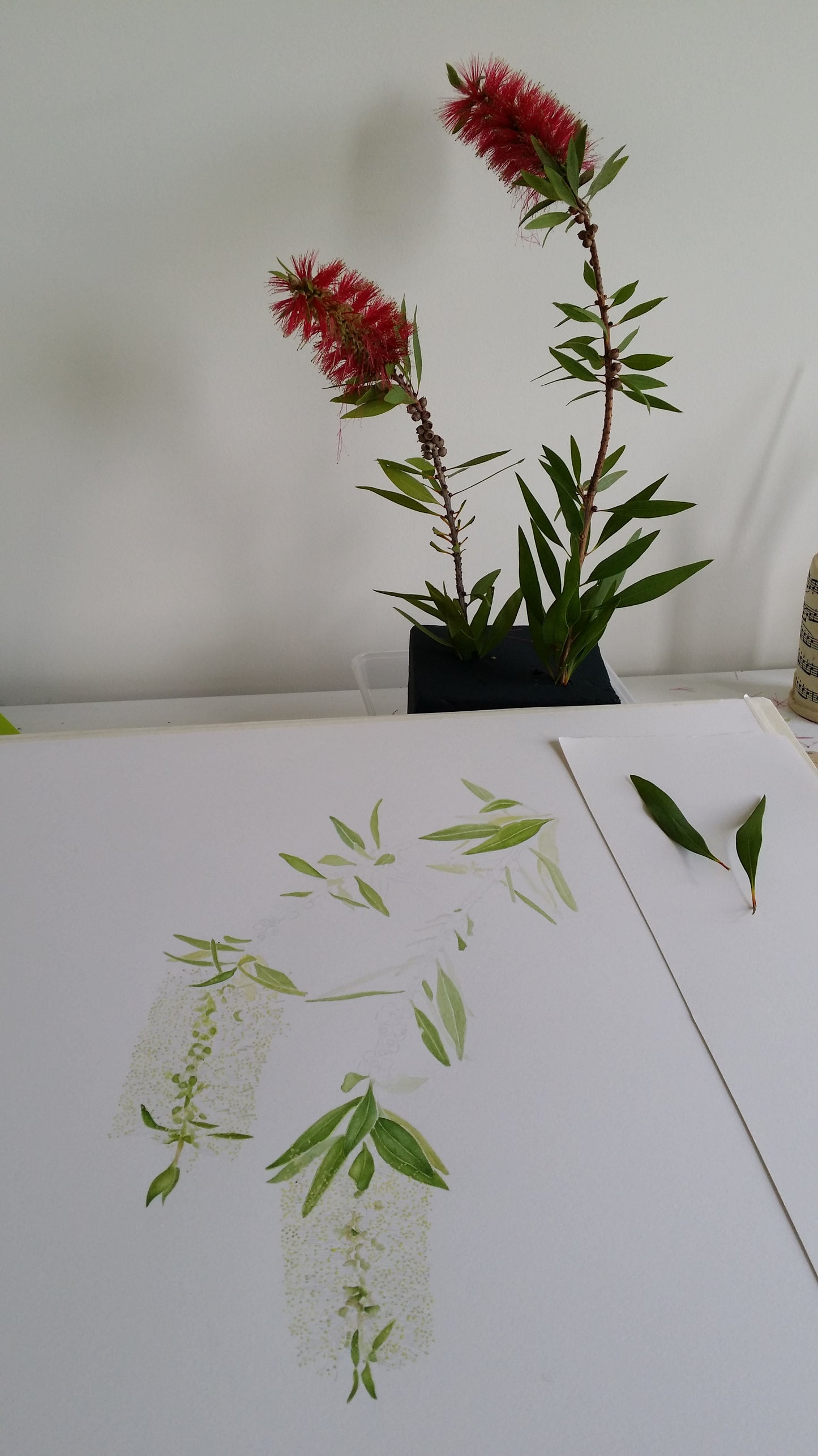 [Minjung Oh]  Bookmark – Callistermon