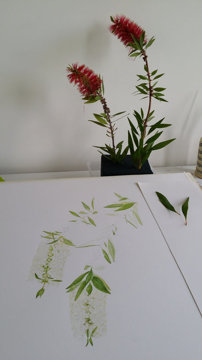 [Minjung Oh]  Bookmark – Callistermon