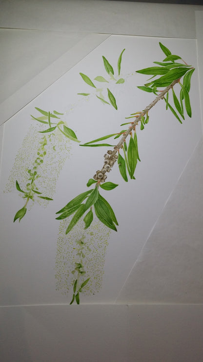 [Minjung Oh]  Bookmark – Callistermon