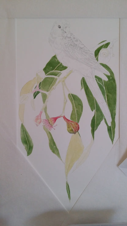 [Minjung Oh] "Eucalyptus Trees with a Crimson Rosella" Original Artworks and Frame