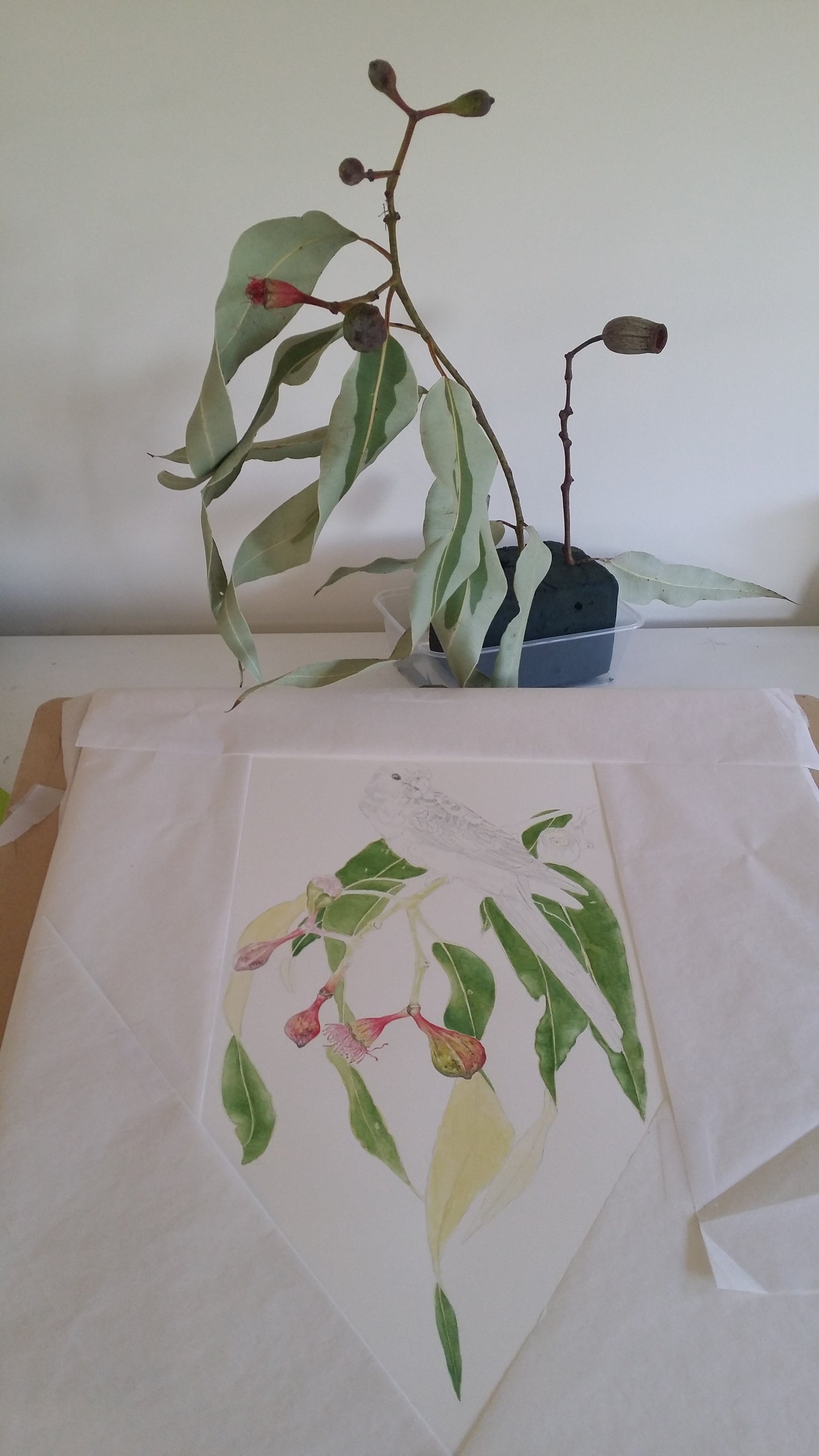 [Minjung Oh] Spring Bloodwood artworks  A3 copy print