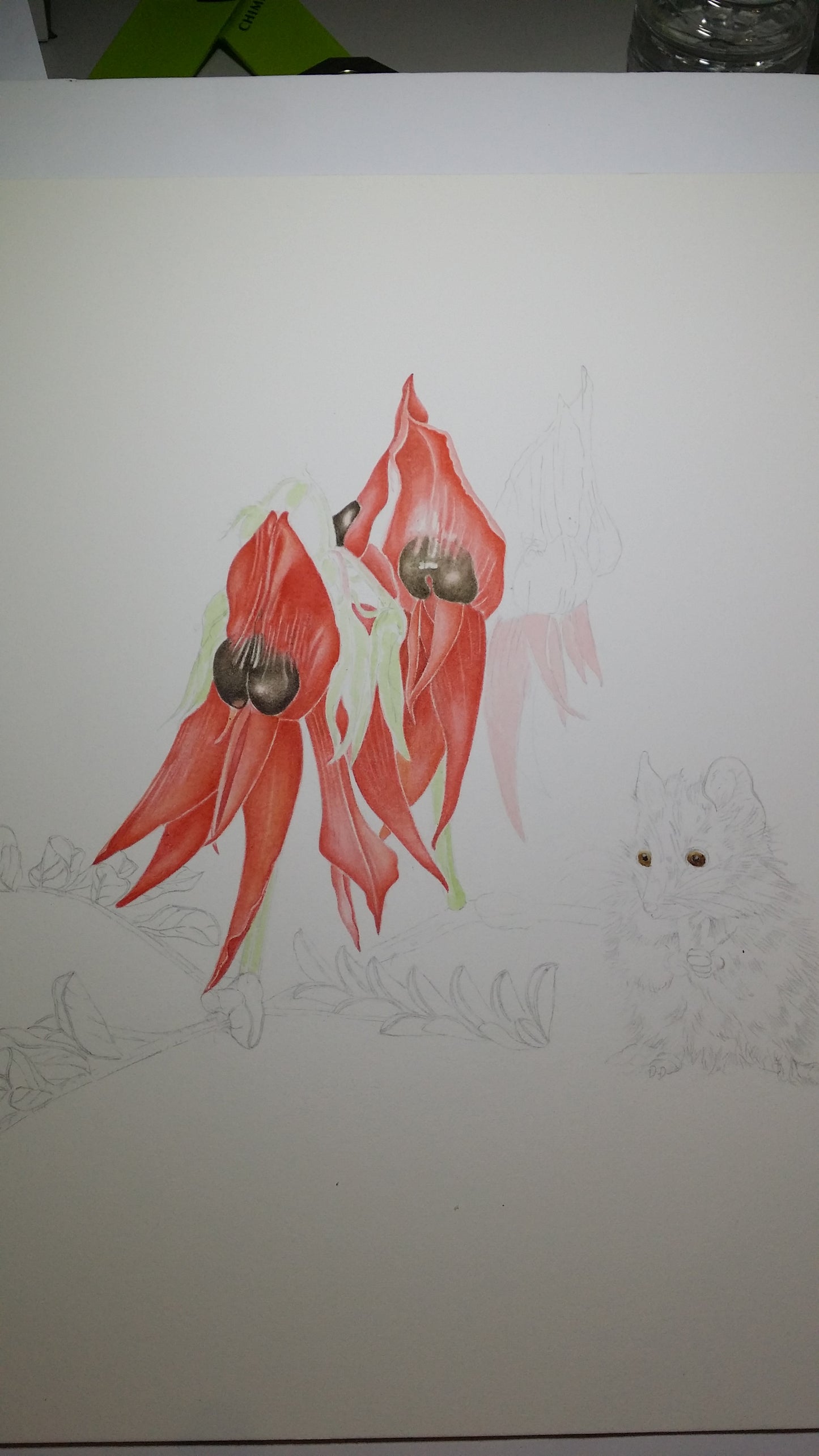 [Minjung Oh] "Sturts Desert Pea and Oddea Dunnart Art Frame"   original painting and Frame