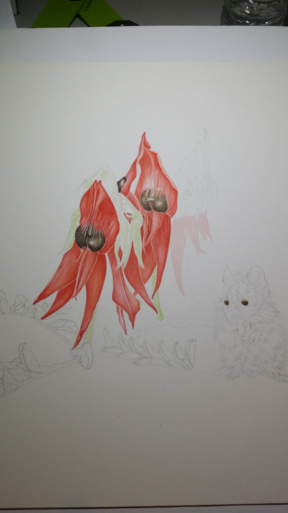 [Minjung Oh] "Sturts Desert Pea and Oddea Dunnart Art Frame"   original painting and Frame