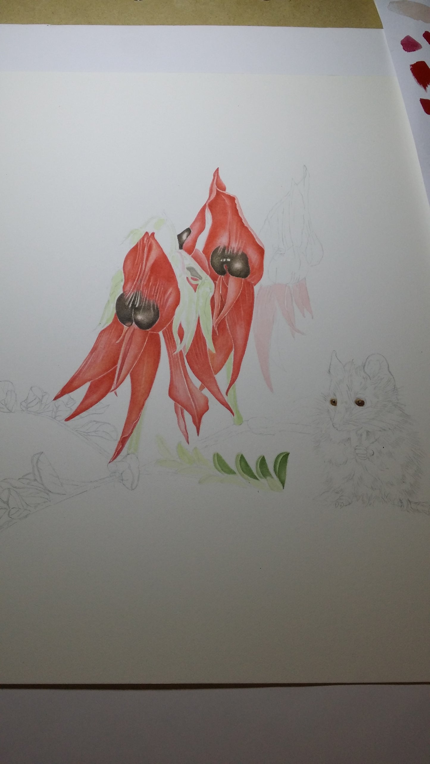 [Minjung Oh] "Sturts Desert Pea and Oddea Dunnart Art Frame"   original painting and Frame