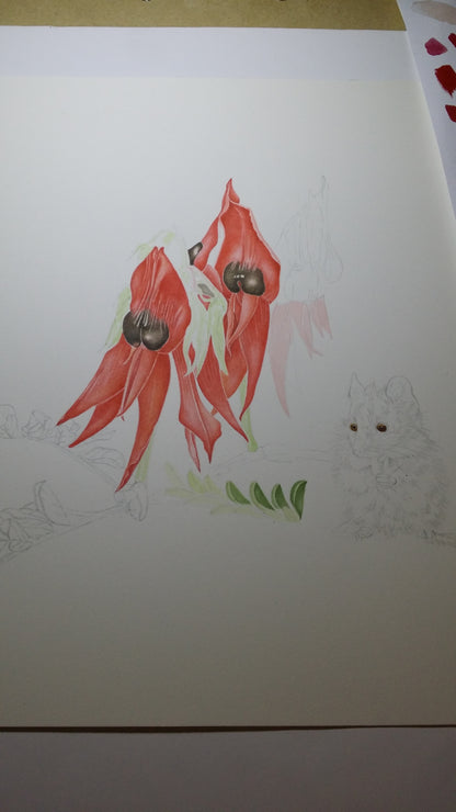 [Minjung Oh] "Sturts Desert Pea and Oddea Dunnart Art Frame"   original painting and Frame