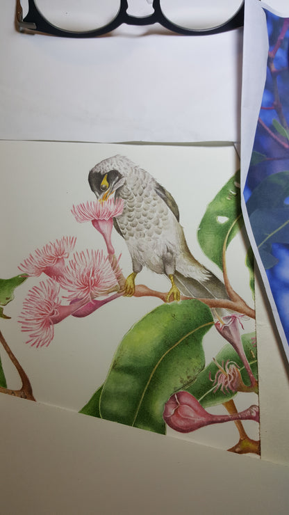 [Minjung Oh] Bookmark "Pink Flowering Gum Tree(Corymbia Ptychocarpa) and Noisy Miner