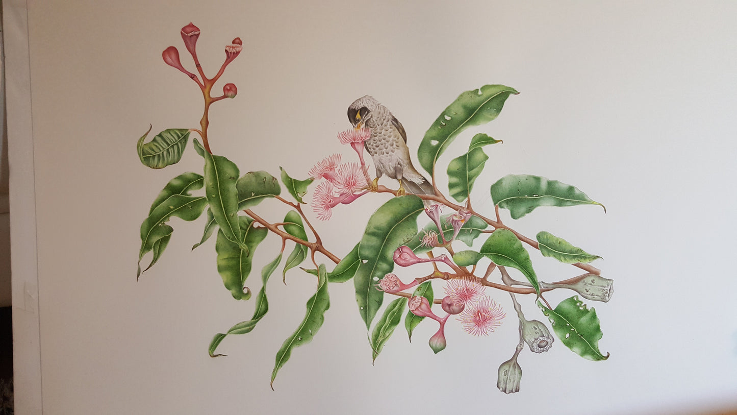 [Minjung Oh] Pink Eucalyptus and Noisy Miner Print A4