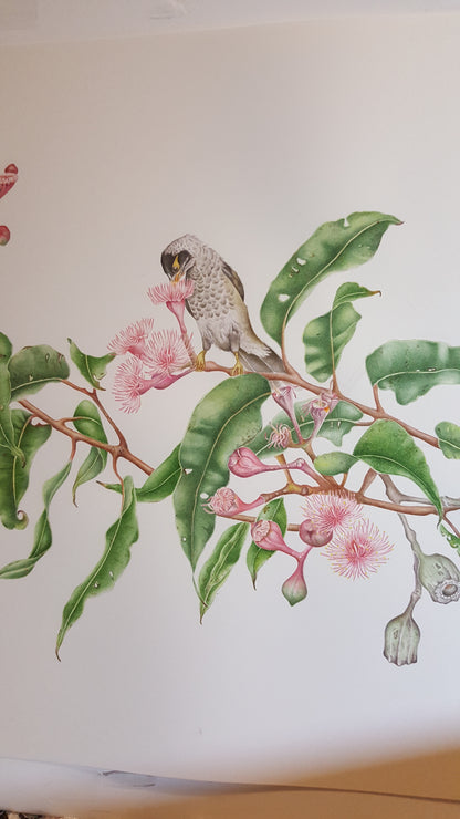 [Minjung Oh] Pink Eucalyptus and Noisy Miner Print A4