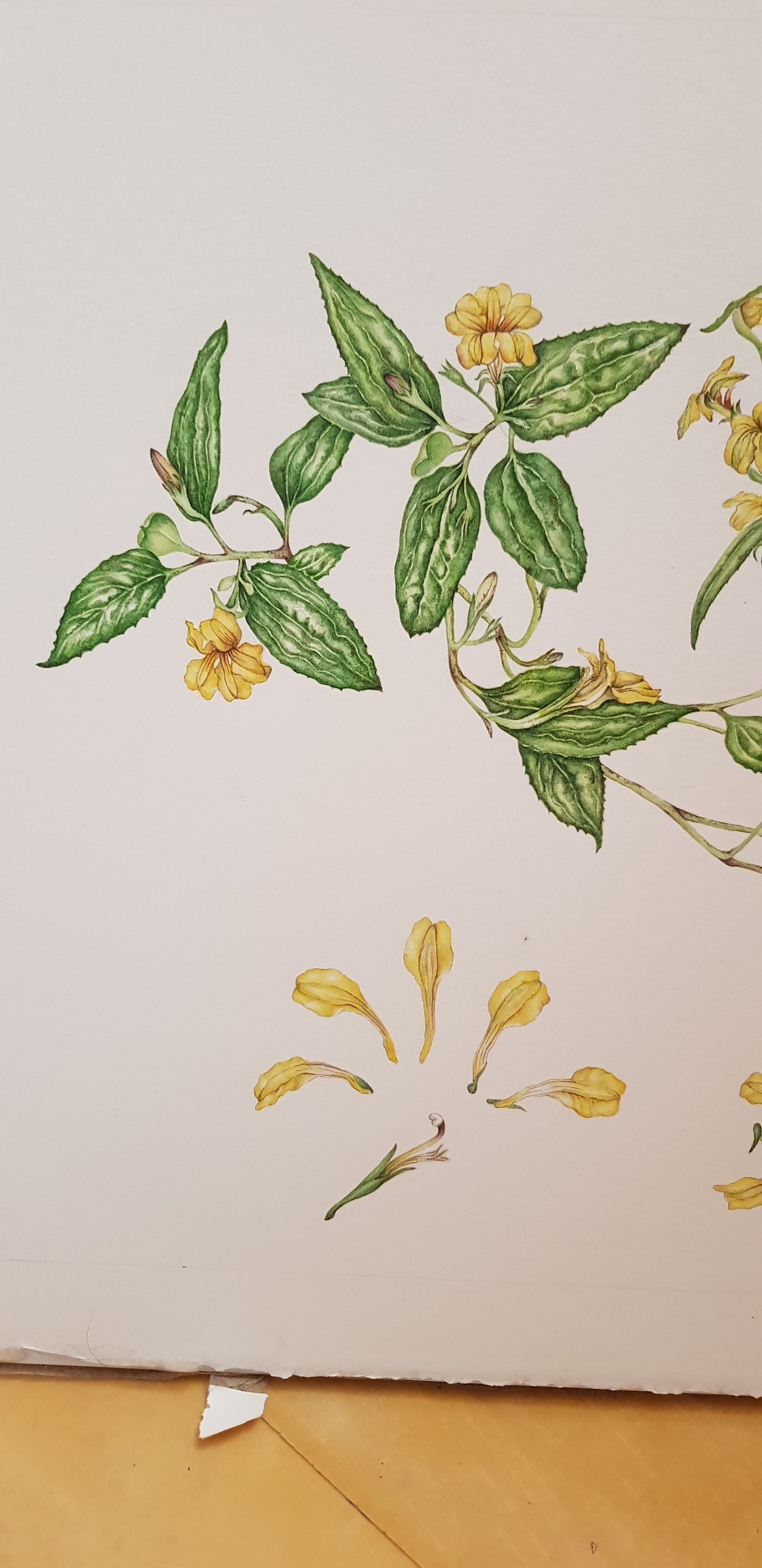 [Minjung Oh] Goodnight avatar bookmark