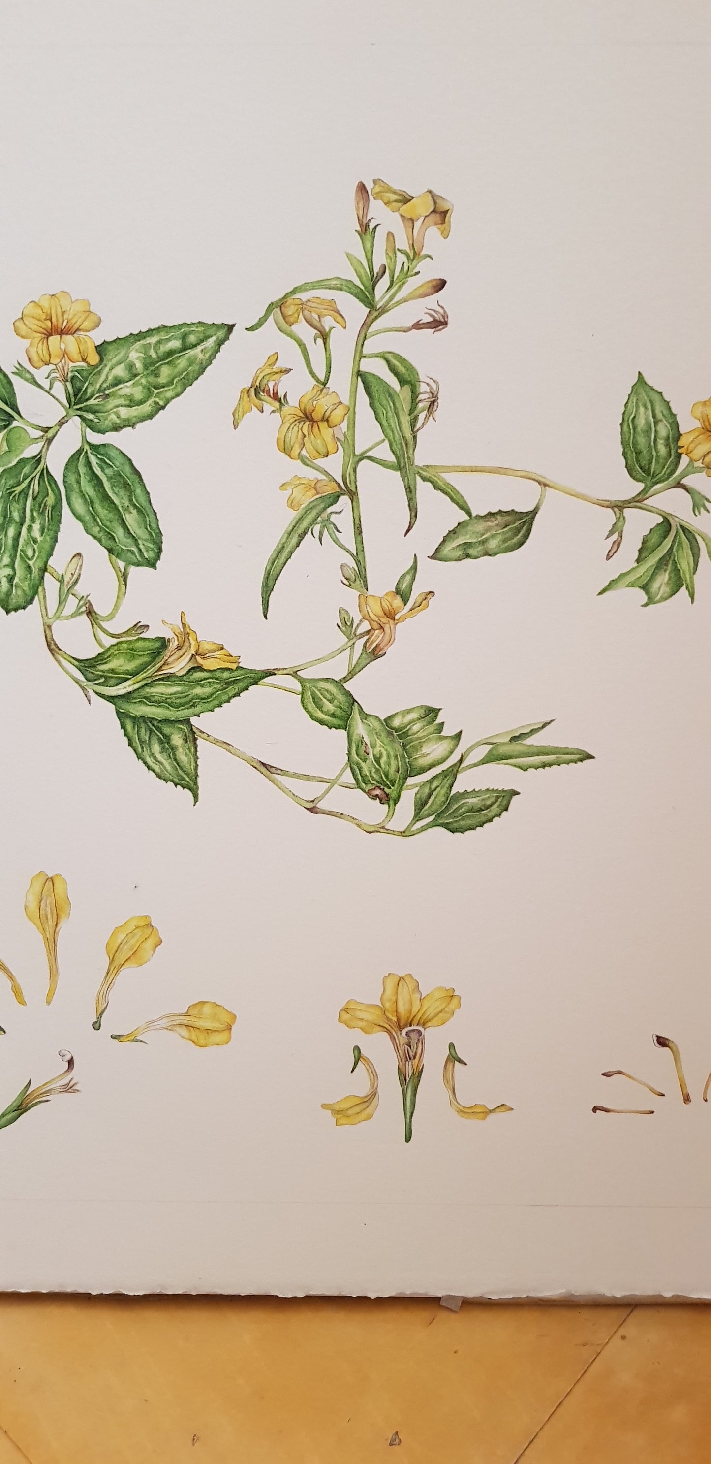 [Minjung Oh] Goodnight avatar bookmark