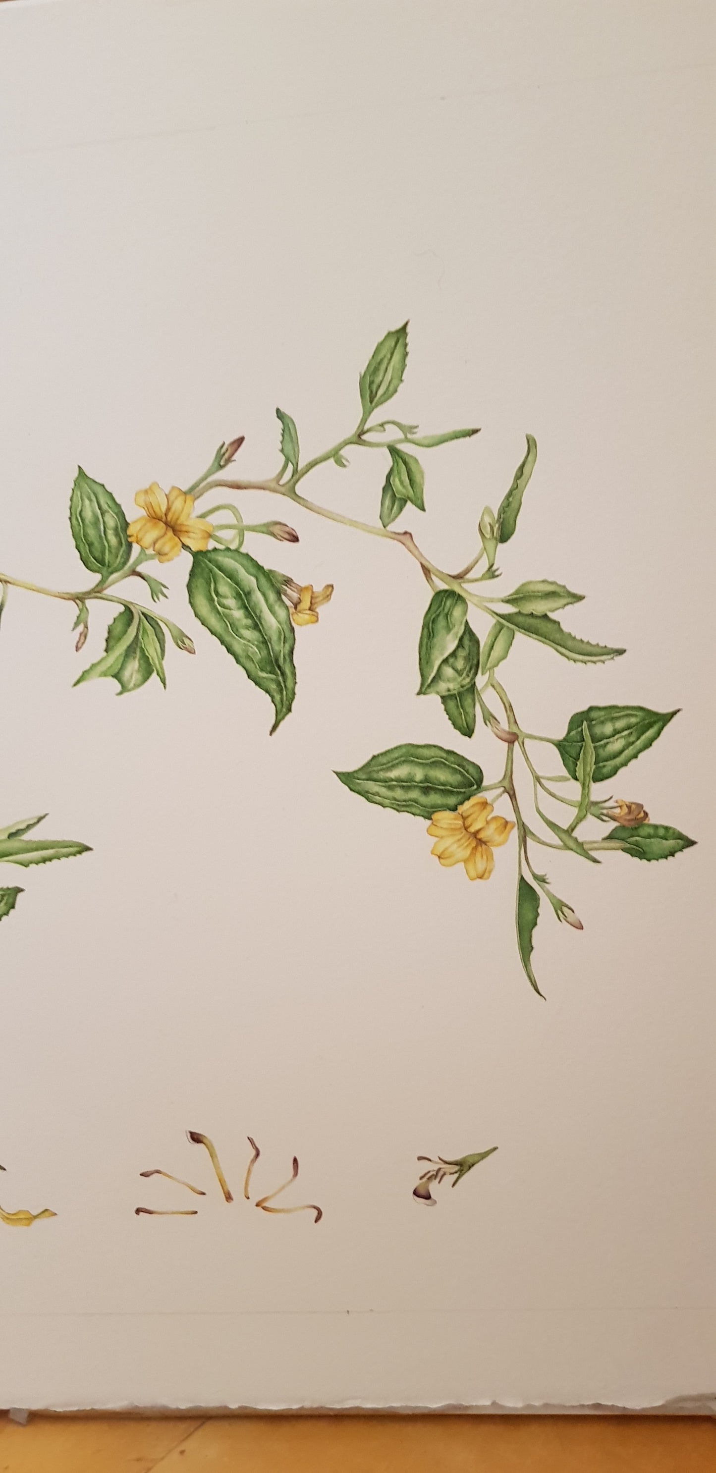 [Minjung Oh] Goodnight avatar bookmark