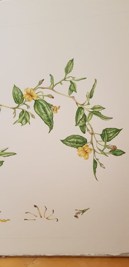 [Minjung Oh] Goodnight avatar bookmark