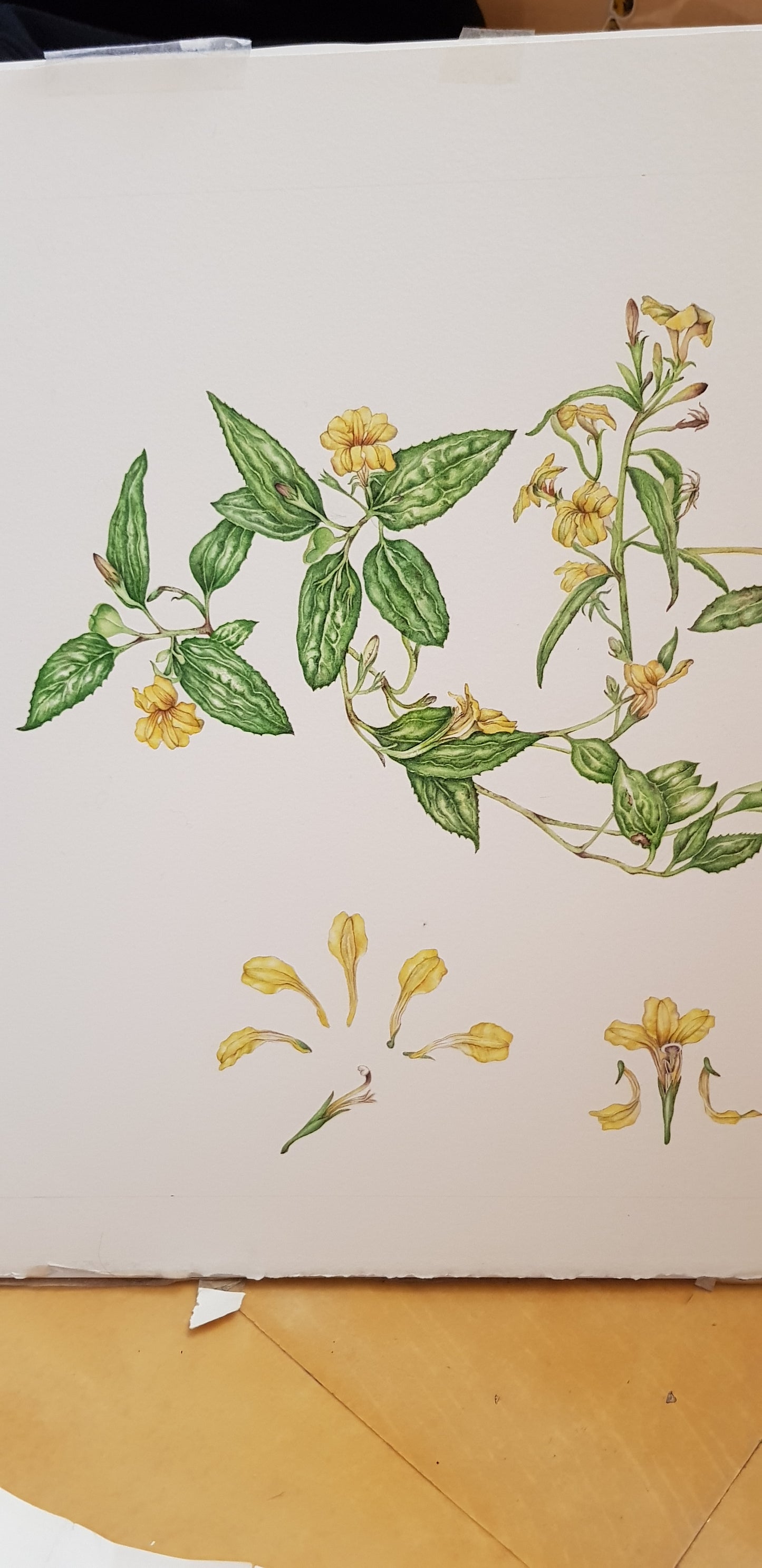 [Minjung Oh] Goodnight avatar bookmark