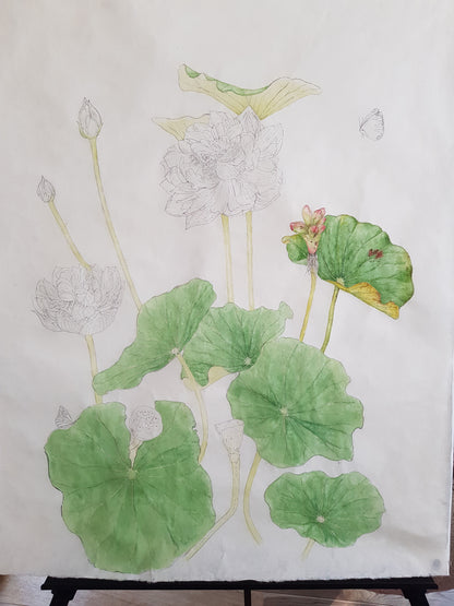 [Minjung Oh] A5 Postcard – Nelumbo – Crimson Velvet 3