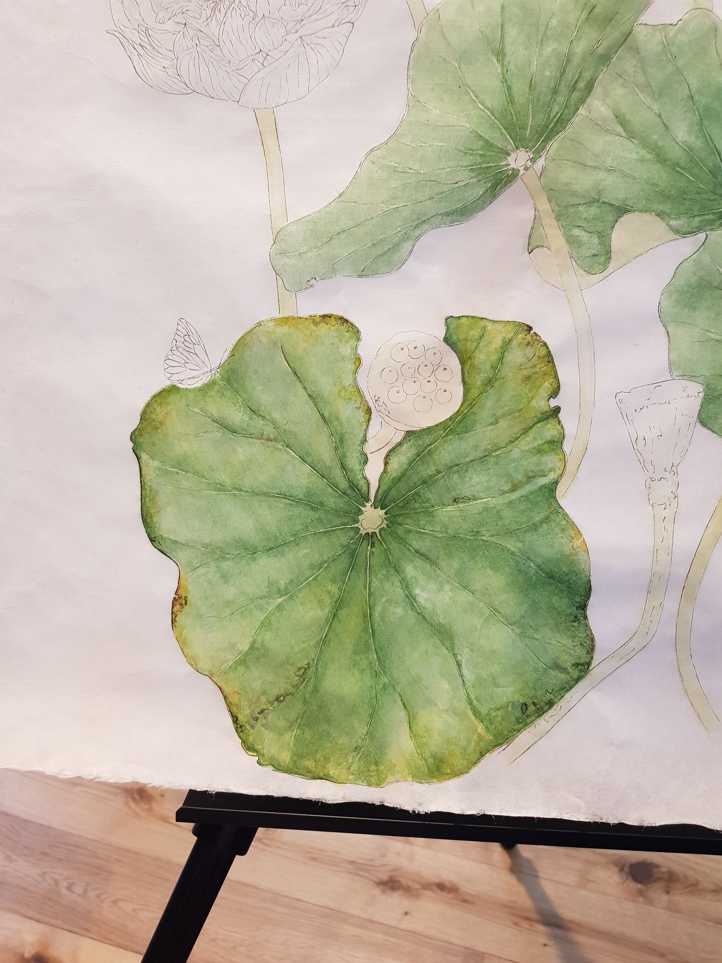 [Minjung Oh] A5 Postcard – Nelumbo – Crimson Velvet 3