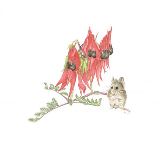 [Minjung Oh] Sturts Desert Pea and Oddea Dunnart Print A3