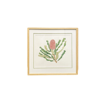 [Minjung Oh] "Banksia Menziesii"  Original Botanic Artworks & Art Frame