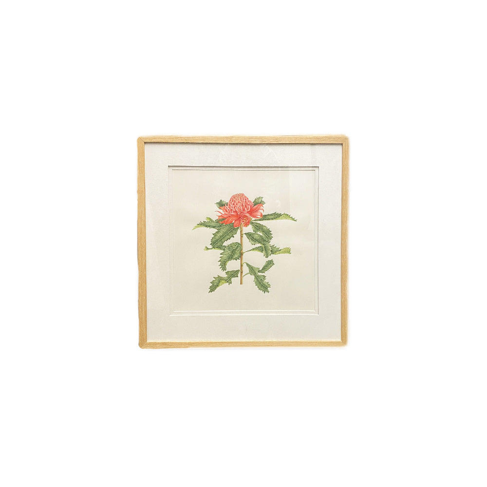 [Minjung Oh] "Waratah "  Original Artworks and Art Frame