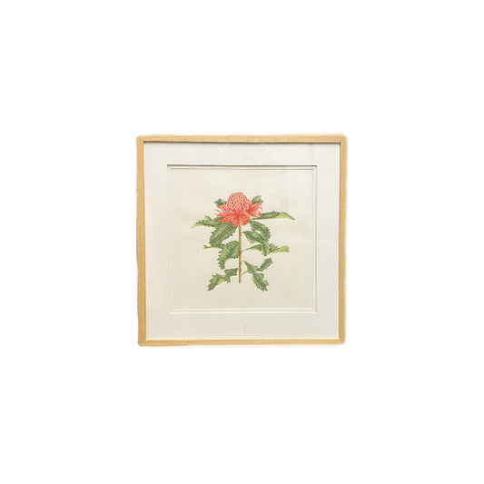 [Minjung Oh] "Waratah "  Original Artworks and Art Frame