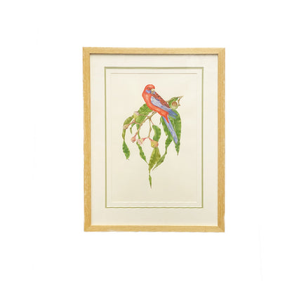 [Minjung Oh] "Eucalyptus Trees with a Crimson Rosella" Original Artworks and Frame