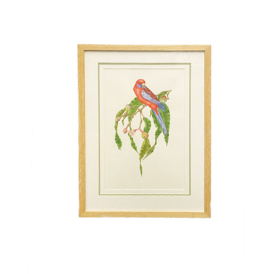 [Minjung Oh] "Eucalyptus Trees with a Crimson Rosella" Original Artworks and Frame