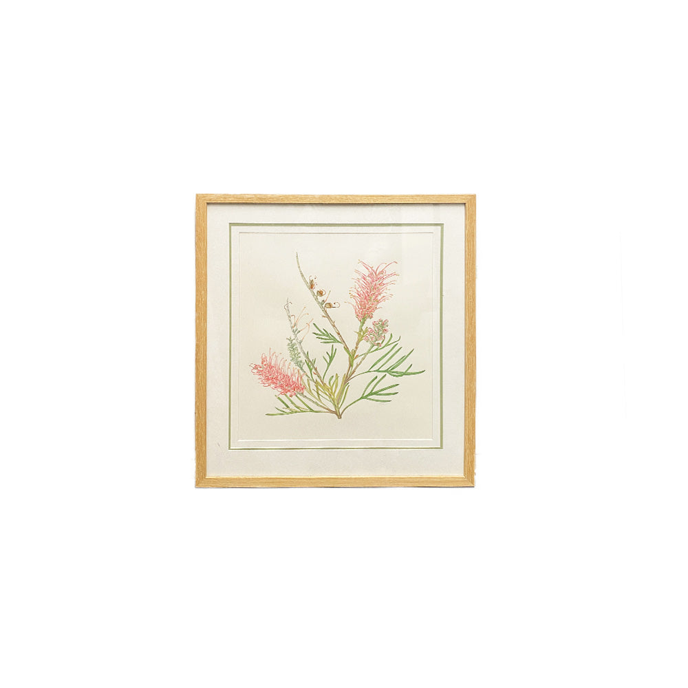 [Minjung Oh] " Grevillea Honeybird Pink" Original Painting and  Art Frame