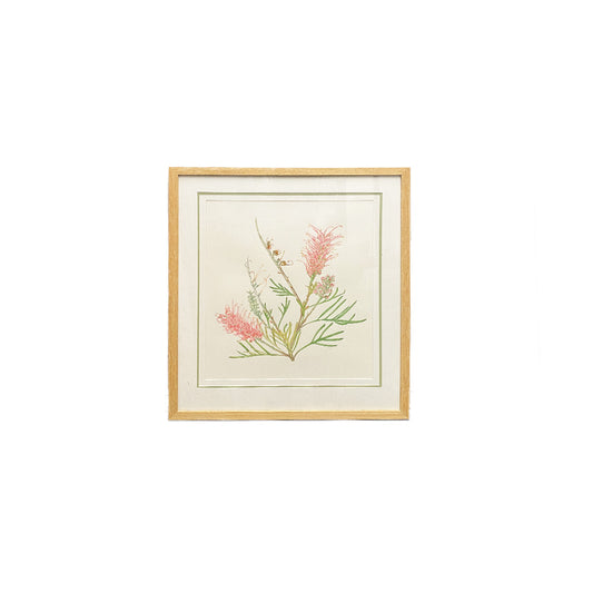 [Minjung Oh] " Grevillea Honeybird Pink" Original Painting and  Art Frame