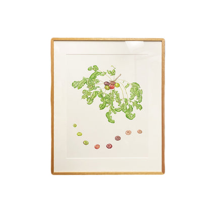 [Minjung Oh] Pleiogynium Timorense (Burdekin Plum) Original Artworks &  Frame
