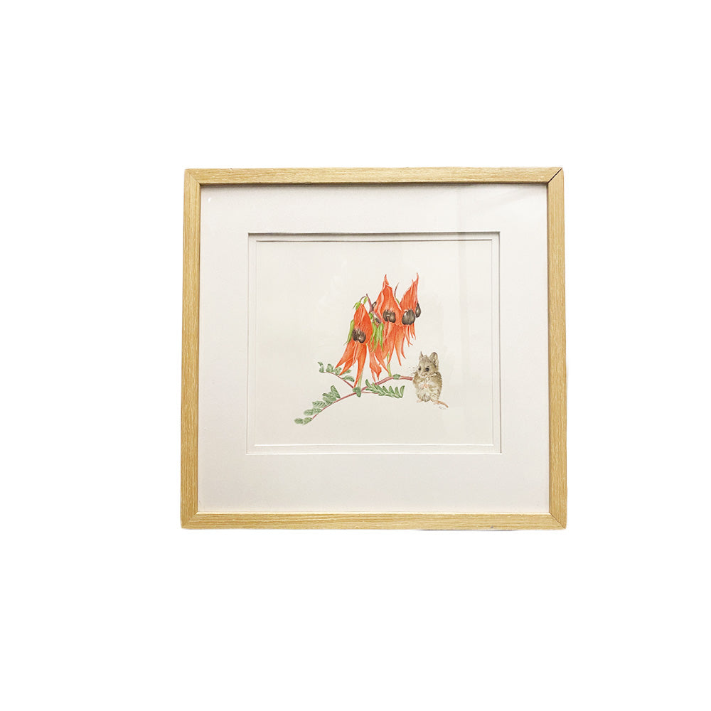 [Minjung Oh] "Sturts Desert Pea and Oddea Dunnart Art Frame"   original painting and Frame