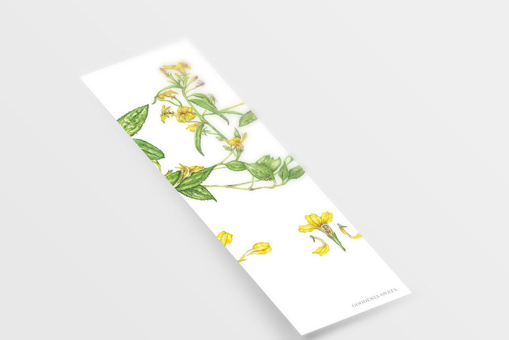 [Minjung Oh] Goodnight avatar bookmark