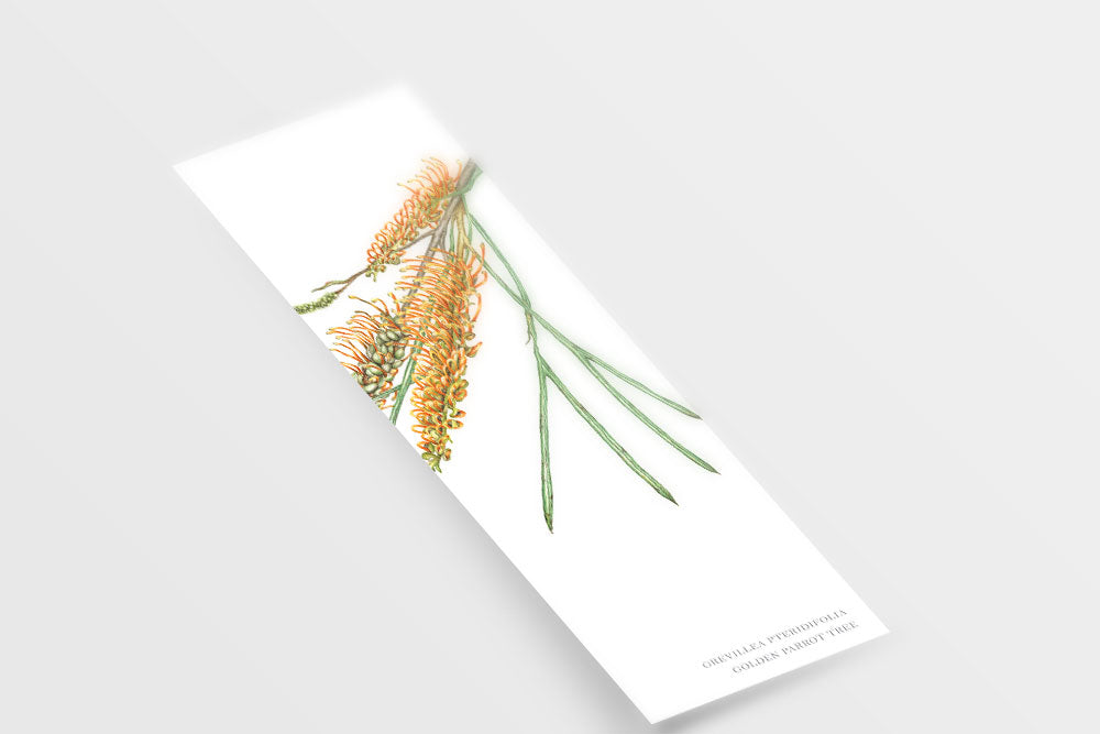 [Minjung Oh] Bookmark – Grevillea Pteridifolia