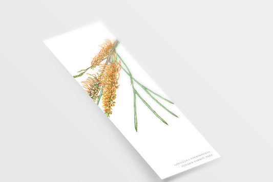 [Minjung Oh] Bookmark – Grevillea Pteridifolia