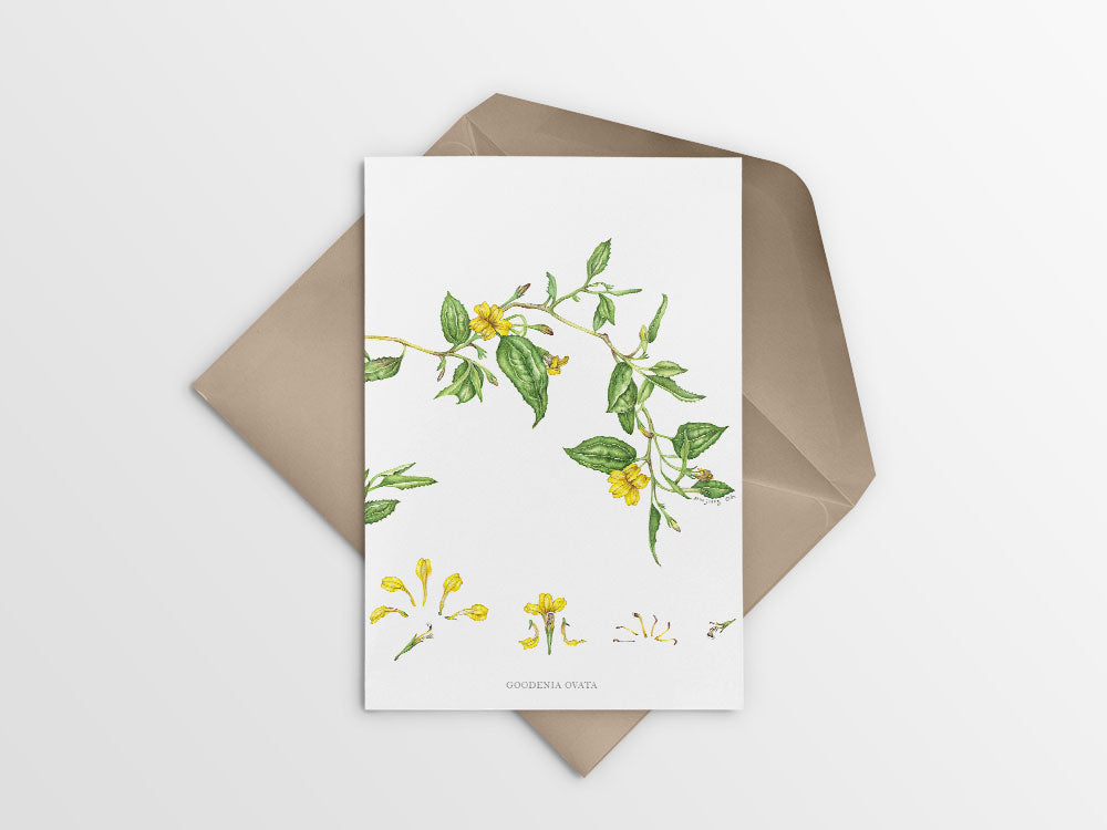 [Minjung Oh] Card – Goodenia Ovata