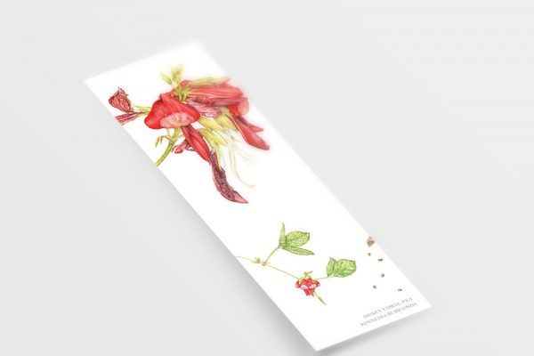 [Minjung Oh] Bookmark – Dusky Coral Pea – Kennedia Rubicunda