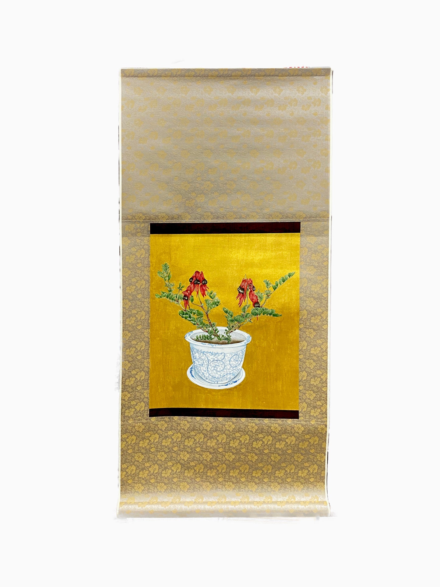 Australia Botanical Artist [Minjung Oh] Original Painting " Sturts Deserts Pea in a vase"