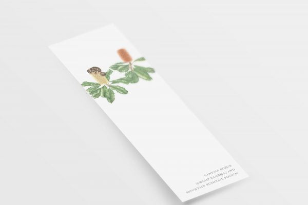 [Minjung Oh] Bookmark – Banksia Robur (Swamp Banksia) and Mountain Bushtail Possum
