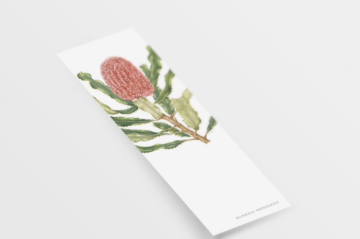 [Minjung Oh] Bookmark – Banksia Menziesii