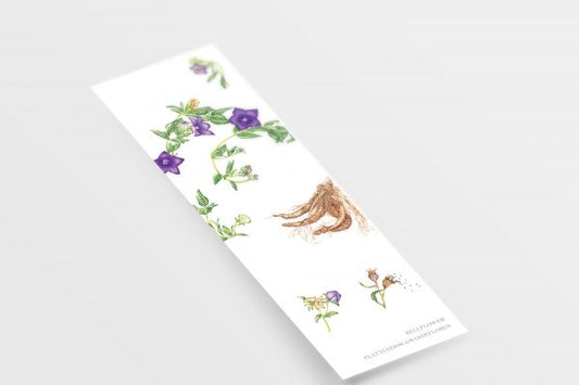 [MinjungOh] Bookmark – Bellflower