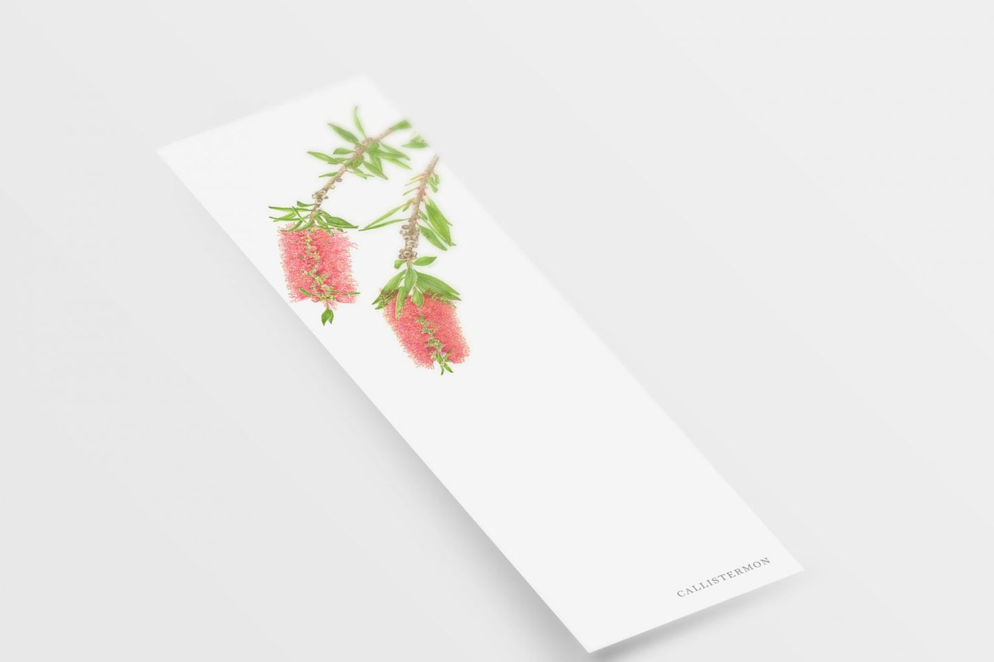 [Minjung Oh]  Bookmark – Callistermon