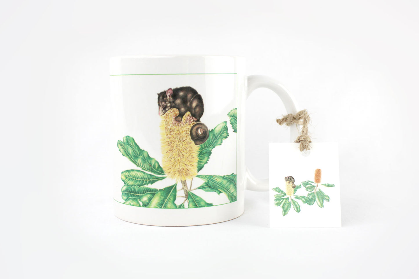 [Minjung Oh] Mug – Banksia Robur (Swamp Banksia) and Mountain Bushtail Possum