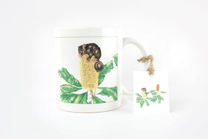 [Minjung Oh] Mug – Banksia Robur (Swamp Banksia) and Mountain Bushtail Possum